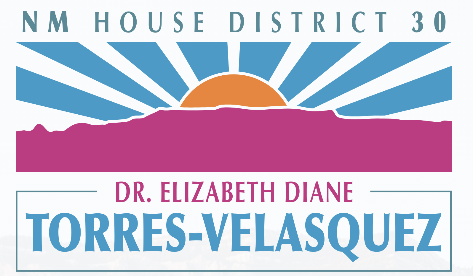 You are currently viewing Volunteer Kick Off For Diane Torres-Velasquez HD30